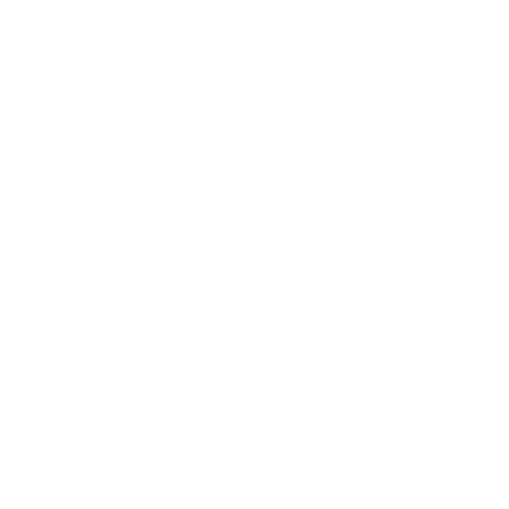 9mm Pro Logo